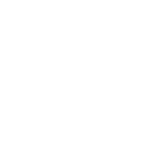 Icon 5
